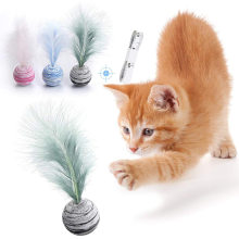Cat Toy Set Feather Teaser Wand Mouse toy